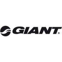 giant-elektrofahrrad