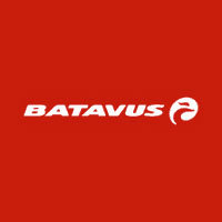 batavus-elektrobike