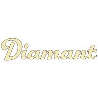 diamant-e-bike