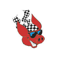 checker-pig-elektrofahrrad